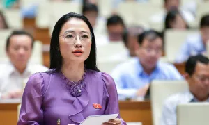Đại biểu ngành y lo vỡ quỹ nếu thông tuyến nhiều loại bệnh Đại biểu ngành y lo vỡ quỹ nếu thông tuyến nhiều loại bệnh