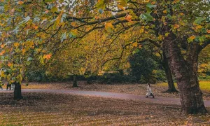 Mùa thu ở xứ cổ tích Edinburgh Mùa thu ở xứ cổ tích Edinburgh