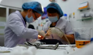 Cái giá phải trả bởi nỗi sợ 'nhổ răng khôn' Cái giá phải trả bởi nỗi sợ 'nhổ răng khôn'