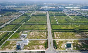 Bộ Tài chính tiếp tục đề xuất miễn thuế sử dụng đất nông nghiệp Bộ Tài chính tiếp tục đề xuất miễn thuế sử dụng đất nông nghiệp
