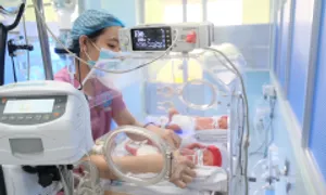Can thiệp tim thai là sự kiện nổi bật TP HCM 2024 Can thiệp tim thai là sự kiện nổi bật TP HCM 2024