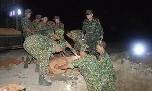 Hơn 30% diện tích Bình Phước nguy cơ còn bom mìn Hơn 30% diện tích Bình Phước nguy cơ còn bom mìn