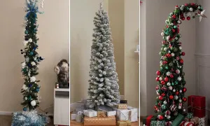 Cây thông Giáng sinh 'gầy' đắt hàng ở phương Tây Cây thông Giáng sinh 'gầy' đắt hàng ở phương Tây