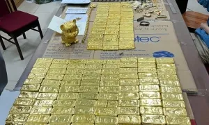 Thu thêm hơn 100 tỷ đồng trong vụ TikToker Mr Pips lừa đảo Thu thêm hơn 100 tỷ đồng trong vụ TikToker Mr Pips lừa đảo