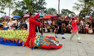 Làng chuyên nghề nuôi, bắt rắn ở tỉnh, thành nào? Làng chuyên nghề nuôi, bắt rắn ở tỉnh, thành nào?