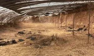 Trung Quốc phạt tù chung thân nam sinh 13 tuổi mưu sát bạn Trung Quốc phạt tù chung thân nam sinh 13 tuổi mưu sát bạn