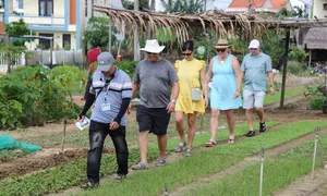 Top các tỉnh thành dẫn đầu về doanh thu, lượng khách 2024 Top các tỉnh thành dẫn đầu về doanh thu, lượng khách 2024