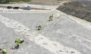 Phát hiện bất ngờ về dấu chân khủng long Phát hiện bất ngờ về dấu chân khủng long