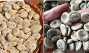 Ngừng tim, ngừng thở sau khi dùng bột chữa bệnh dạ dày Ngừng tim, ngừng thở sau khi dùng bột chữa bệnh dạ dày