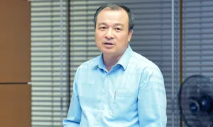 Vụ trưởng Pháp luật Văn phòng Chính phủ làm trợ lý Thủ tướng Vụ trưởng Pháp luật Văn phòng Chính phủ làm trợ lý Thủ tướng