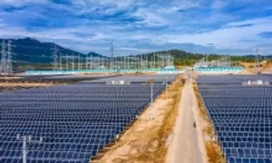 Chủ đầu tư Nhà máy điện mặt trời Trung Nam - Thuận Nam báo lỗ gần 600 tỷ đồng Chủ đầu tư Nhà máy điện mặt trời Trung Nam - Thuận Nam báo lỗ gần 600 tỷ đồng