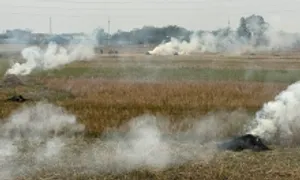 Nhiều vùng nông thôn ô nhiễm không khí Nhiều vùng nông thôn ô nhiễm không khí