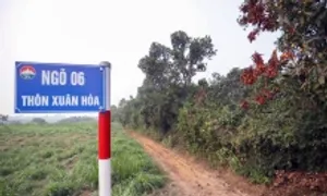 Cụm dân cư 400 người ở Thủ đô đã 'được thừa nhận' Cụm dân cư 400 người ở Thủ đô đã 'được thừa nhận'
