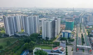 Lỗ hàng trăm triệu đồng khi đầu tư chung cư tỉnh Lỗ hàng trăm triệu đồng khi đầu tư chung cư tỉnh