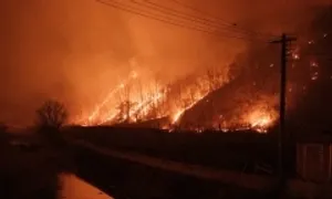Hàn Quốc điều tra người đàn ông nghi gây cháy rừng khi tảo mộ Hàn Quốc điều tra người đàn ông nghi gây cháy rừng khi tảo mộ