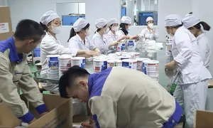 Rà soát việc công bố sản phẩm trong đường dây sản xuất sữa giả Rà soát việc công bố sản phẩm trong đường dây sản xuất sữa giả
