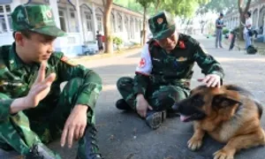 Những chú chó chuyên cứu hộ quốc tế