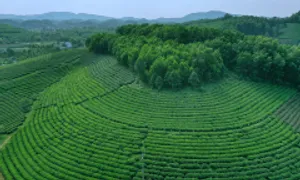 Hơn 740 nhân viên tỉnh Thái Nguyên, Bắc Kạn xin nghỉ Hơn 740 nhân viên tỉnh Thái Nguyên, Bắc Kạn xin nghỉ