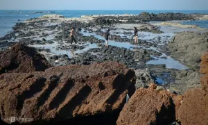 Gành Đá Đỏ - điểm du lịch 'lạ mà quen' ở Quảng Ngãi Gành Đá Đỏ - điểm du lịch 'lạ mà quen' ở Quảng Ngãi