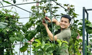 Khu vườn sân thượng đủ ăn cho 9 thành viên gia đình Khu vườn sân thượng đủ ăn cho 9 thành viên gia đình