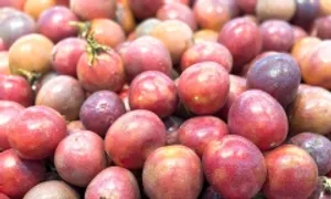 5 quả người tiểu đường nên ăn hàng tuần 5 quả người tiểu đường nên ăn hàng tuần