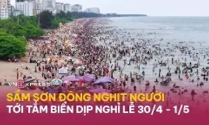 Vì sao năm nào du lịch Thanh Hóa cũng thu nghìn tỷ dịp 30/4? Vì sao năm nào du lịch Thanh Hóa cũng thu nghìn tỷ dịp 30/4?