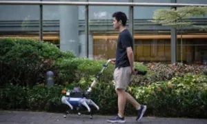 Vai trò của chó robot trong cuộc sống ở Singapore Vai trò của chó robot trong cuộc sống ở Singapore