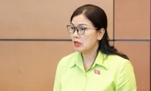 'Tăng mức phạt vi phạm giao thông tối đa 200 triệu đồng mới đủ răn đe' 'Tăng mức phạt vi phạm giao thông tối đa 200 triệu đồng mới đủ răn đe'