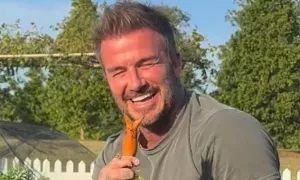 David Beckham mê làm vườn David Beckham mê làm vườn