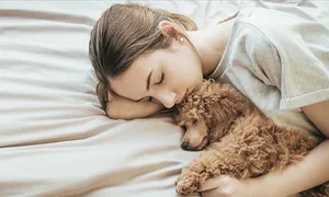 Có nên ngủ cùng thú cưng? Có nên ngủ cùng thú cưng?