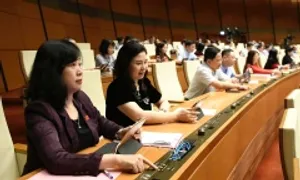 Chính phủ được điều chỉnh quy định trong luật để xử lý vướng mắc Chính phủ được điều chỉnh quy định trong luật để xử lý vướng mắc
