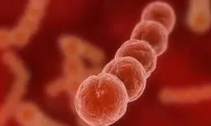 Hà Nội ghi nhận ca nhiễm liên cầu lợn thứ 8 trong năm Hà Nội ghi nhận ca nhiễm liên cầu lợn thứ 8 trong năm