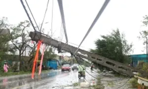 Lưới điện bị tàn phá, hơn 1,5 triệu khách hàng đang mất điện Lưới điện bị tàn phá, hơn 1,5 triệu khách hàng đang mất điện