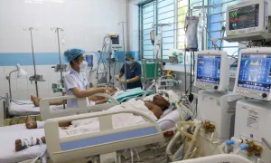 TP HCM ghi nhận 15 ca tử vong vì sốt xuất huyết TP HCM ghi nhận 15 ca tử vong vì sốt xuất huyết
