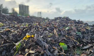 Bãi biển Nhật Lệ ken đặc rác sau bão Bãi biển Nhật Lệ ken đặc rác sau bão
