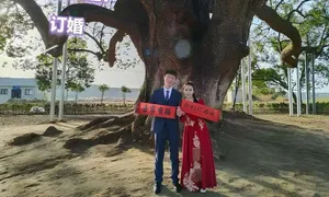 Đôi uyên ương 9 năm chụp ảnh dưới gốc cây 2.200 năm tuổi