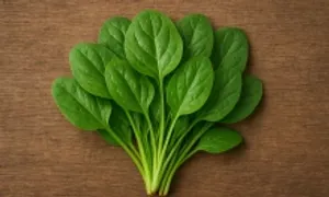 8 thực phẩm giảm viêm khớp